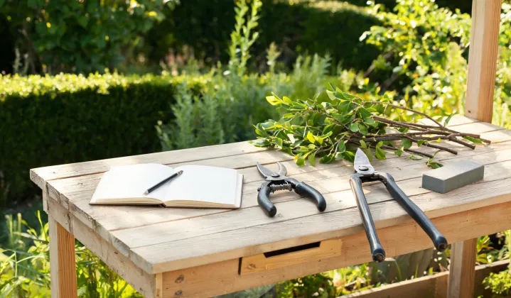 Felco pruning article feature