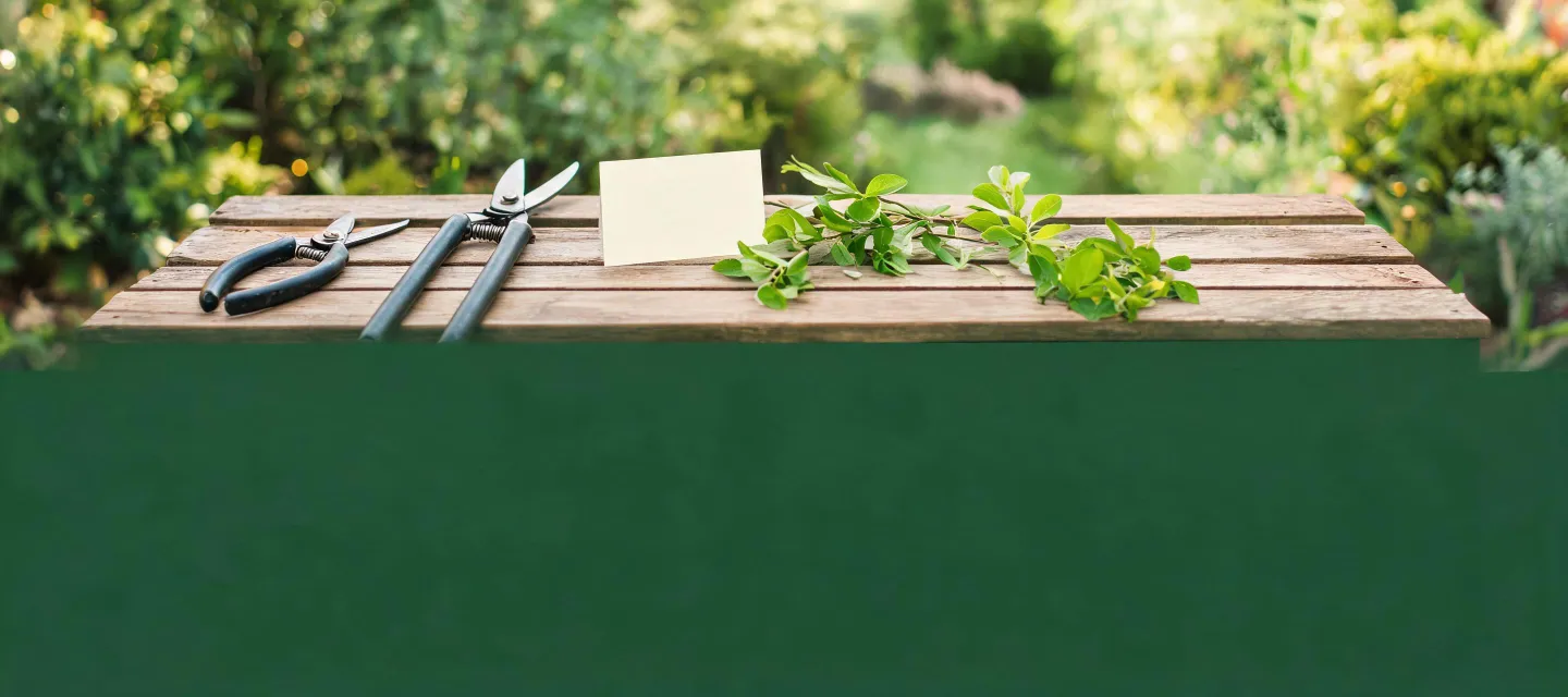 Felco garden guidance background